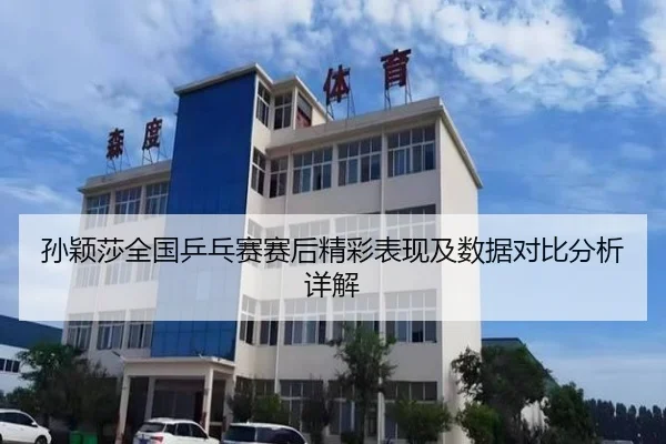 孙颖莎全国乒乓赛赛后精彩表现及数据对比分析详解